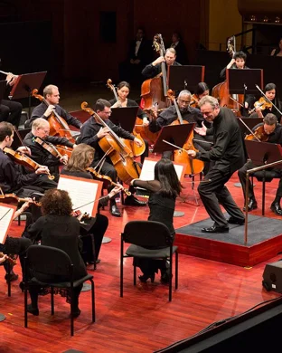 West Virginia Symphony Orchestra: Home Alone in Concert