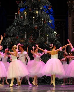 The Charleston Ballet Charleston